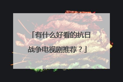 有什么好看的抗日战争电视剧推荐?