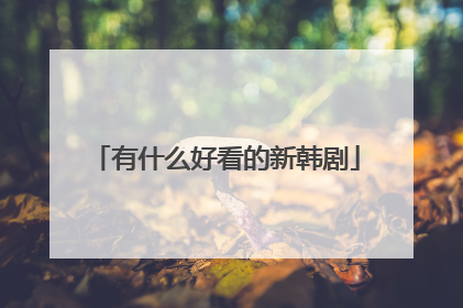 有什么好看的新韩剧