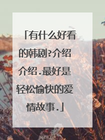 有什么好看的韩剧?介绍介绍.最好是轻松愉快的爱情故事.