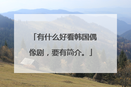 有什么好看韩国偶像剧,要有简介。