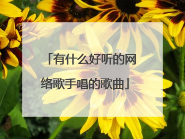 有什么好听的网络歌手唱的歌曲