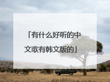 有什么好听的中文歌有韩文版的