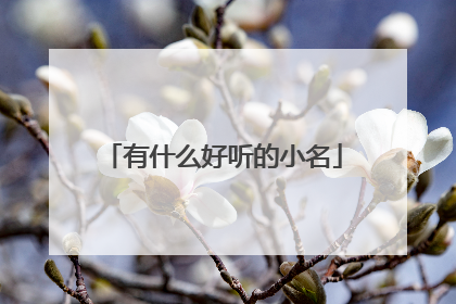 有什么好听的小名