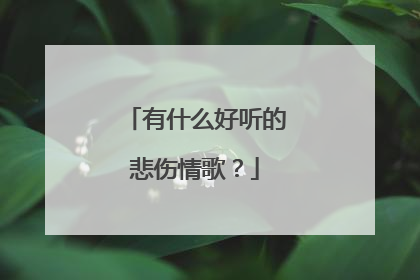 有什么好听的悲伤情歌？