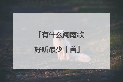 有什么闽南歌好听最少十首