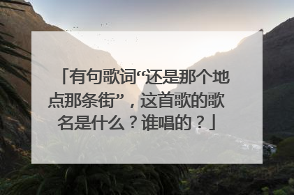 有句歌词“还是那个地点那条街”，这首歌的歌名是什么？谁唱的？
