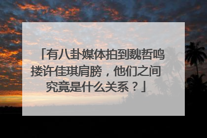 有八卦媒体拍到魏哲鸣搂许佳琪肩膀，他们之间究竟是什么关系？