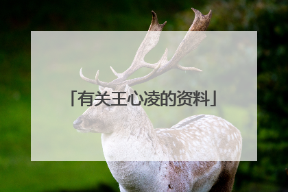 有关王心凌的资料