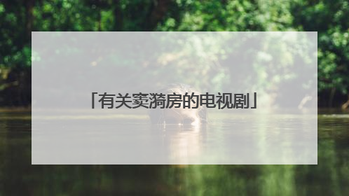 有关窦漪房的电视剧