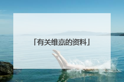 有关维嘉的资料