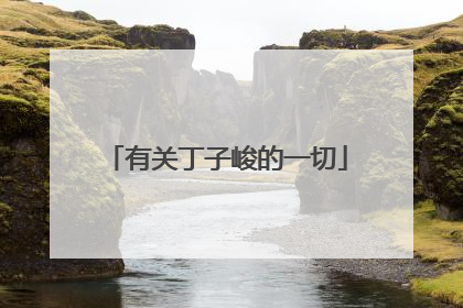 有关丁子峻的一切