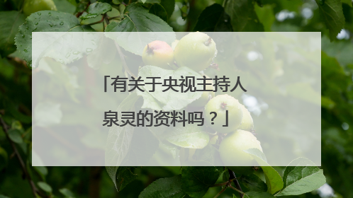 有关于央视主持人泉灵的资料吗？