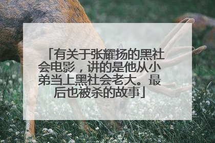 有关于张耀扬的黑社会电影，讲的是他从小弟当上黑社会老大。最后也被杀的故事