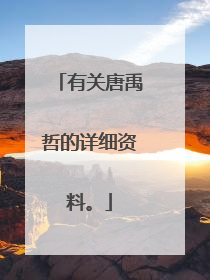 有关唐禹哲的详细资料。