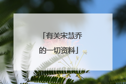 有关宋慧乔的一切资料