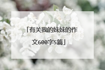 有关我的妹妹的作文600字5篇
