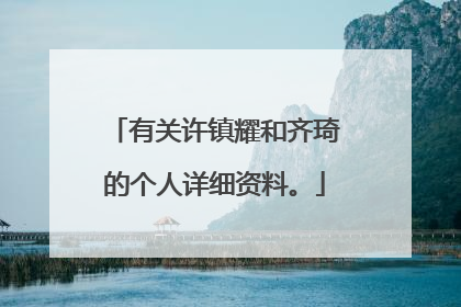 有关许镇耀和齐琦的个人详细资料。
