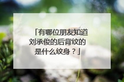 有哪位朋友知道刘承俊的后背纹的是什么纹身？