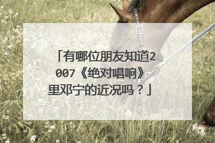 有哪位朋友知道2007《绝对唱响》里邓宁的近况吗?