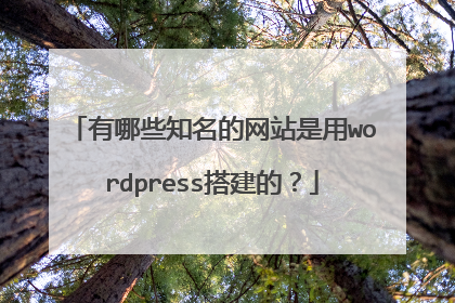 有哪些知名的网站是用wordpress搭建的?