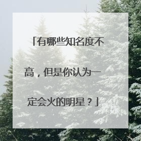 有哪些知名度不高，但是你认为一定会火的明星？