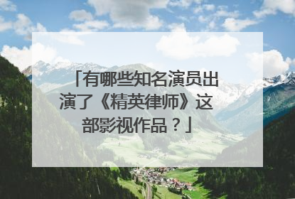 有哪些知名演员出演了《精英律师》这部影视作品？