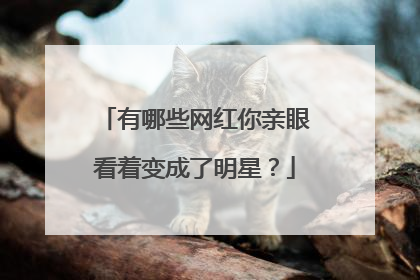 有哪些网红你亲眼看着变成了明星?
