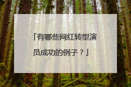 有哪些网红转型演员成功的例子？