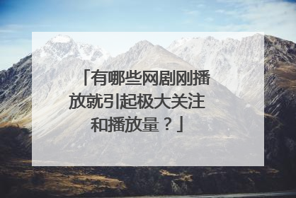 有哪些网剧刚播放就引起极大关注和播放量？
