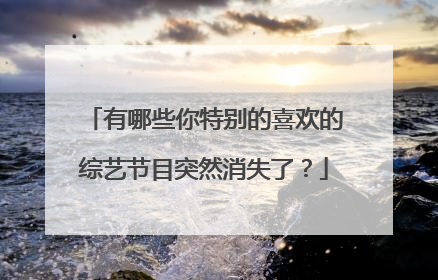 有哪些你特别的喜欢的综艺节目突然消失了?