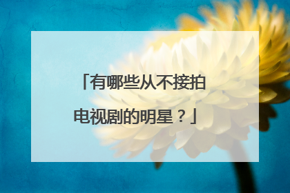 有哪些从不接拍电视剧的明星？