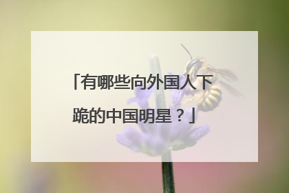 有哪些向外国人下跪的中国明星？
