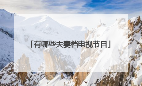 有哪些夫妻档电视节目