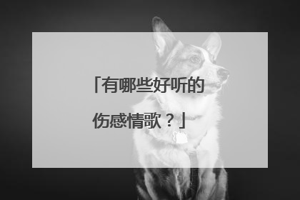 有哪些好听的伤感情歌？