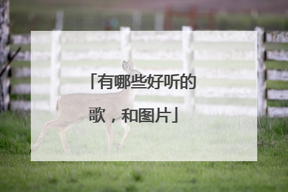 有哪些好听的歌，和图片