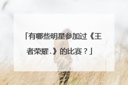 有哪些明星参加过《王者荣耀.》的比赛？