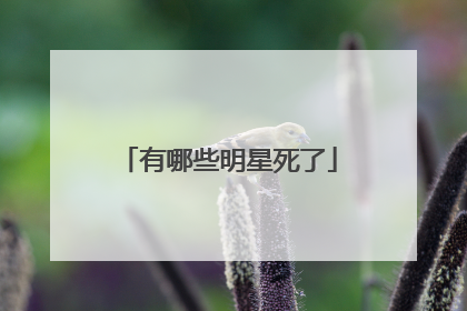 有哪些明星死了