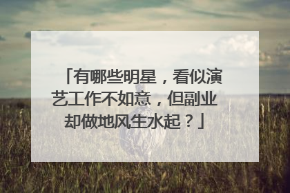 有哪些明星，看似演艺工作不如意，但副业却做地风生水起？