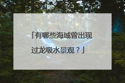 有哪些海域曾出现过龙吸水景观?