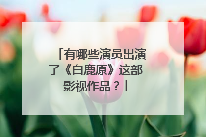 有哪些演员出演了《白鹿原》这部影视作品？