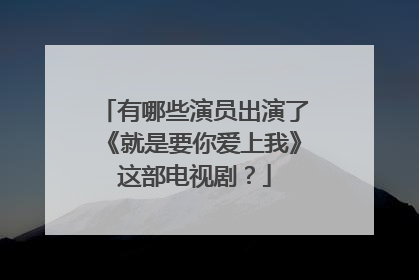 有哪些演员出演了《就是要你爱上我》这部电视剧?