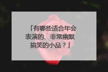 有哪些适合年会表演的、非常幽默搞笑的小品？