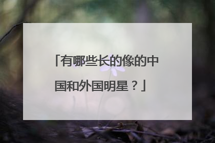 有哪些长的像的中国和外国明星？