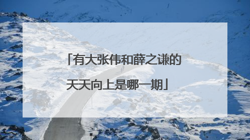 有大张伟和薛之谦的天天向上是哪一期