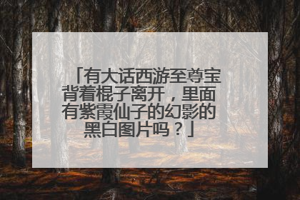 有大话西游至尊宝背着棍子离开，里面有紫霞仙子的幻影的黑白图片吗？