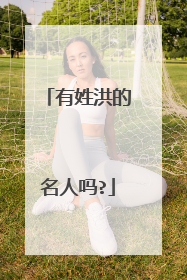 有姓洪的名人吗?