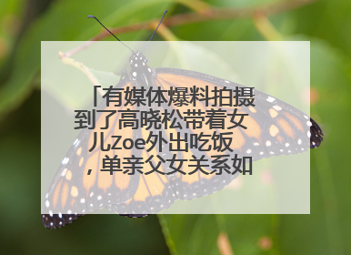 有媒体爆料拍摄到了高晓松带着女儿Zoe外出吃饭，单亲父女关系如何相处？