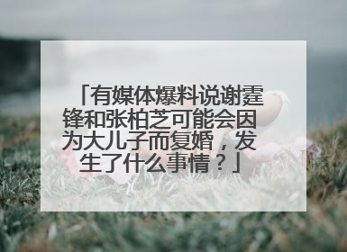 有媒体爆料说谢霆锋和张柏芝可能会因为大儿子而复婚，发生了什么事情？