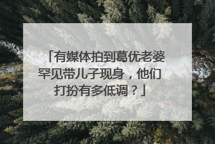 有媒体拍到葛优老婆罕见带儿子现身,他们打扮有多低调?