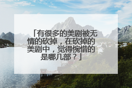 有很多的美剧被无情的砍掉,在砍掉的美剧中,觉得惋惜的是哪几部?